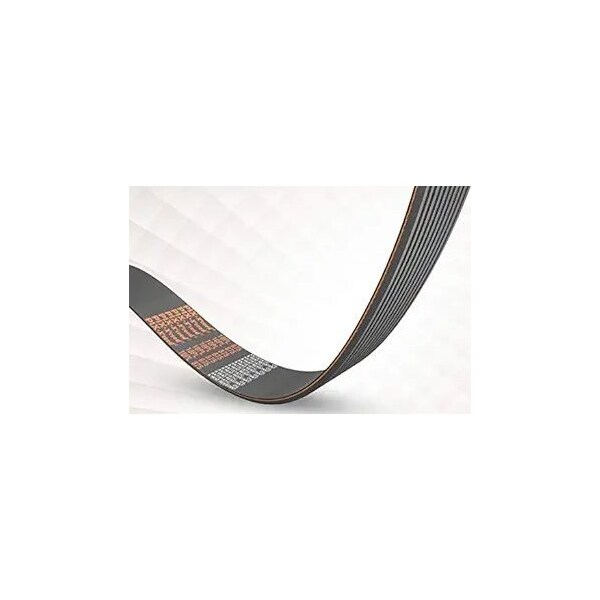 Poly Rib K Belt, 101.3in EL-7 Rib